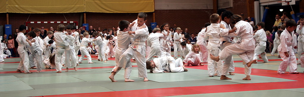 Éveil judo